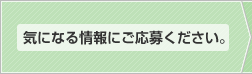 気になる情報にご応募ください。